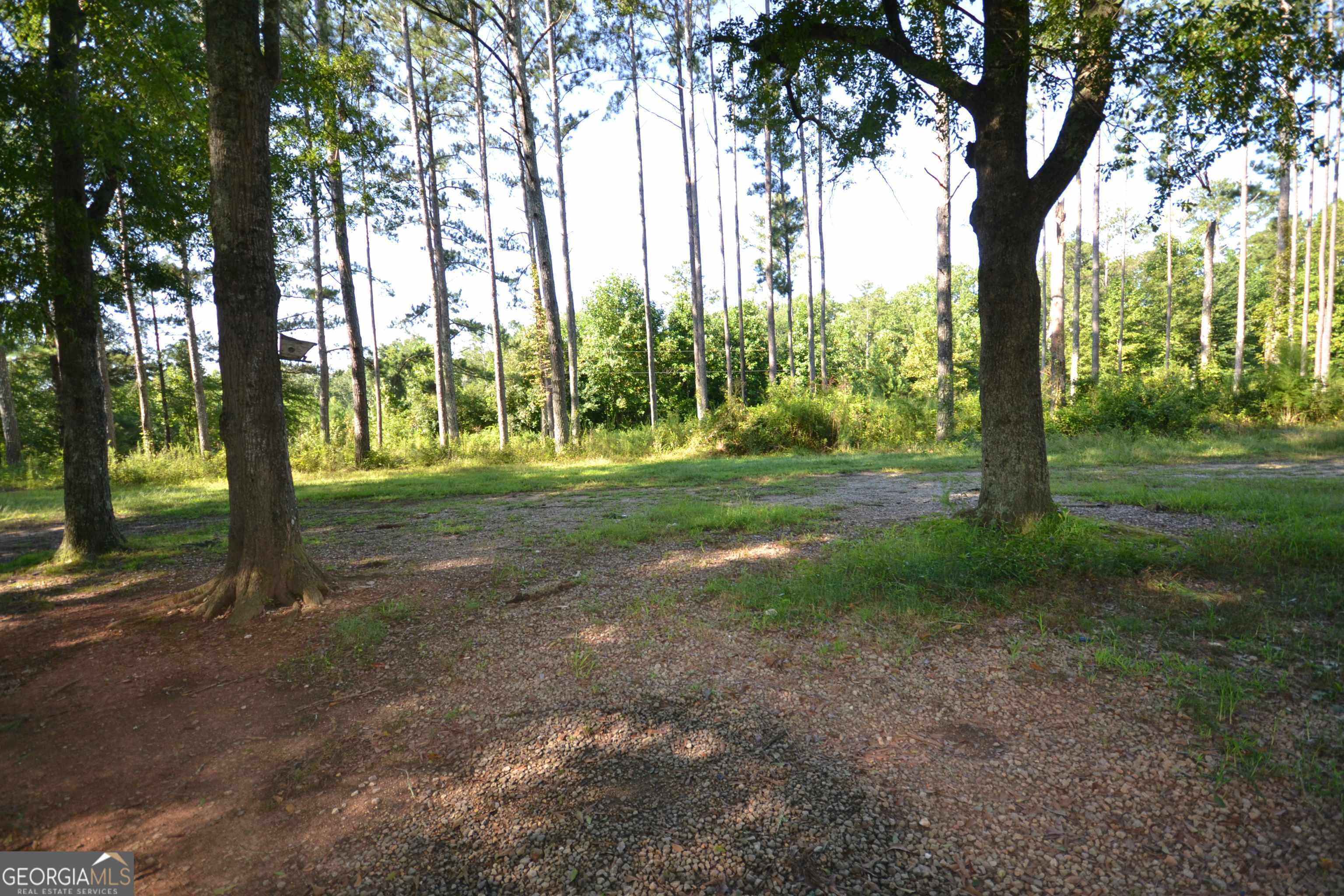96 Morris Road Buchanan, GA 30113 - Photo 1 of 1 a view of a tree in a yard