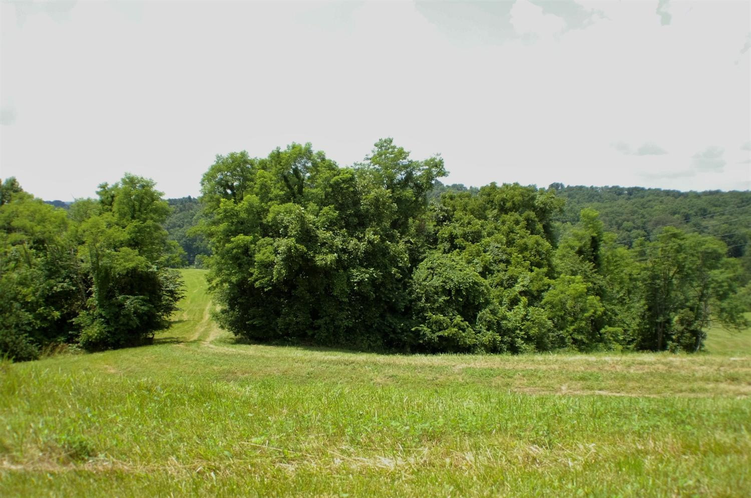 1 Alhambra Road, Unit 3 Mays Lick, KY 41055 - Photo 13 of 14 Photo 13