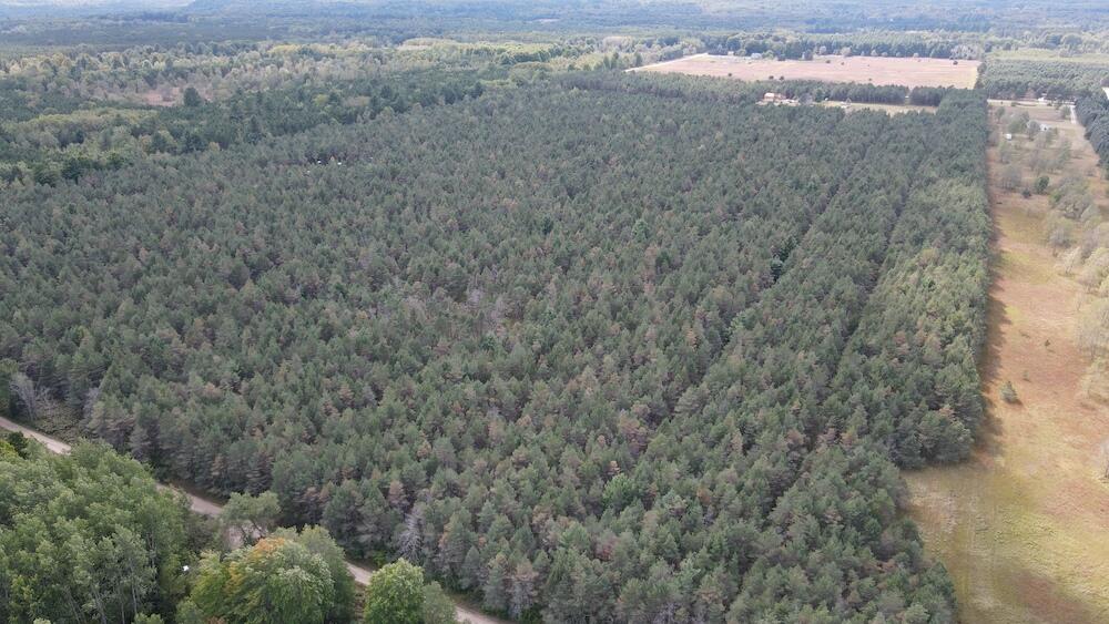 23 1/2 1/2 Road Buckley, MI 49620 - Photo 3 of 39 DJI_0462
