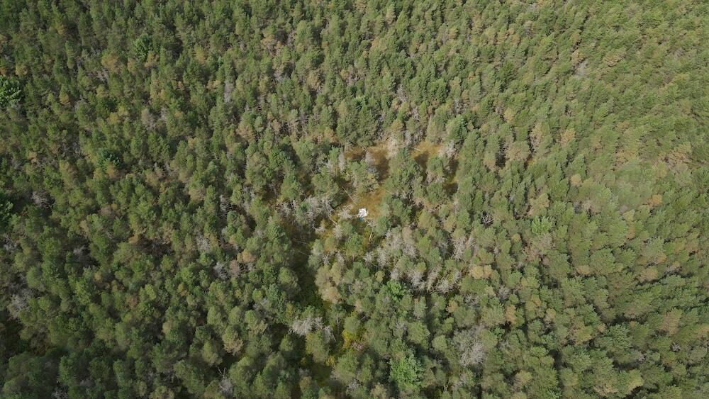 23 1/2 1/2 Road Buckley, MI 49620 - Photo 7 of 39 DJI_0469