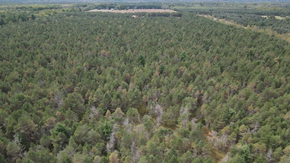 23 1/2 1/2 Road Buckley, MI 49620 - Photo 8 of 39 DJI_0471