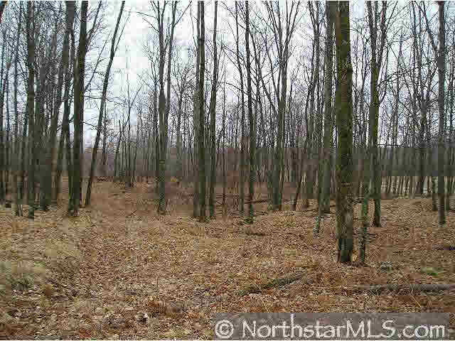 0 Brooklyn Road Trego, WI 54888 - Photo 1 of 1 Gallery Image 1