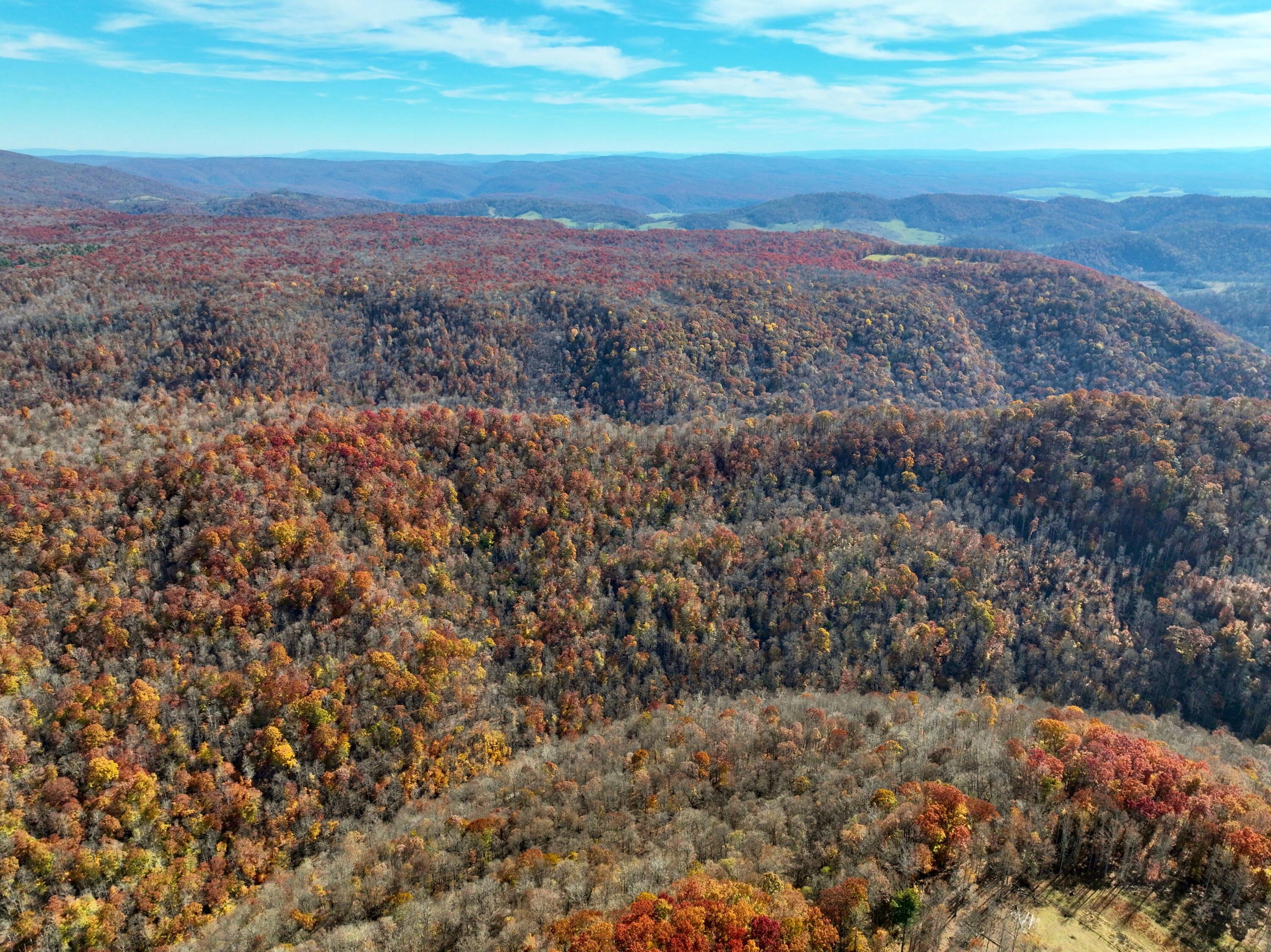 Robins Fork Road Renick, WV 24966 - Photo 26 of 34 Gallery Image 26