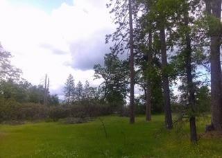 5394 Tiptop Road Mariposa, CA 95338 - Photo 12 of 15