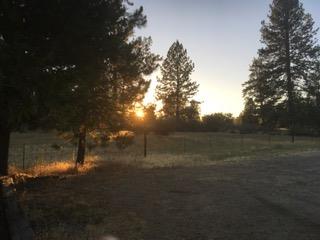 5394 Tiptop Road Mariposa, CA 95338 - Photo 14 of 15