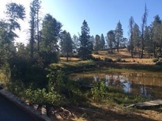 5394 Tiptop Road Mariposa, CA 95338 - Photo 4 of 15