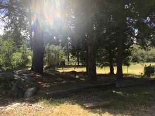5394 Tiptop Road Mariposa, CA 95338 - Photo 9 of 15