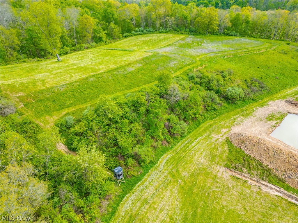 69800 Skull Fork Road Freeport, OH 43973 - Photo 22 of 50