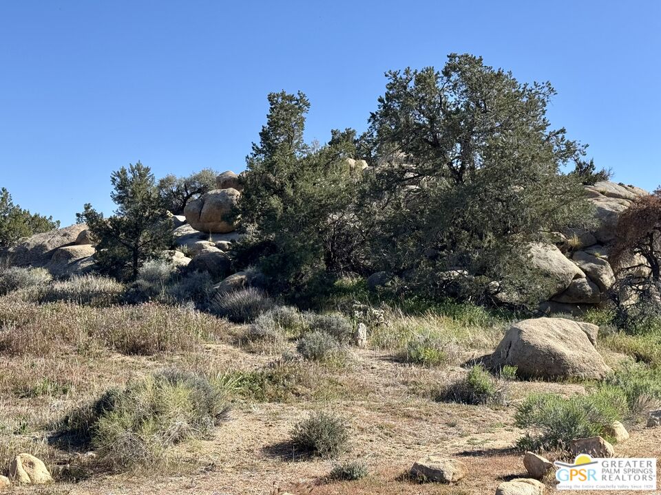900 Parson Ranch Road Landers, CA 92285 - Photo 4 of 14 a view of a yard with a tree