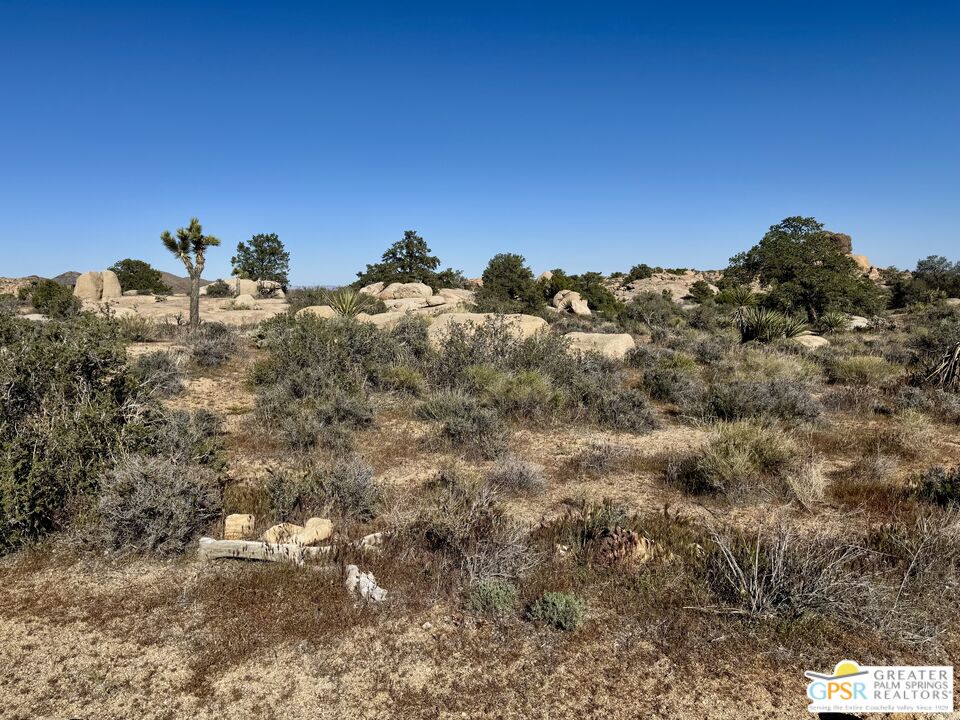 900 Parson Ranch Road Landers, CA 92285 - Photo 6 of 14