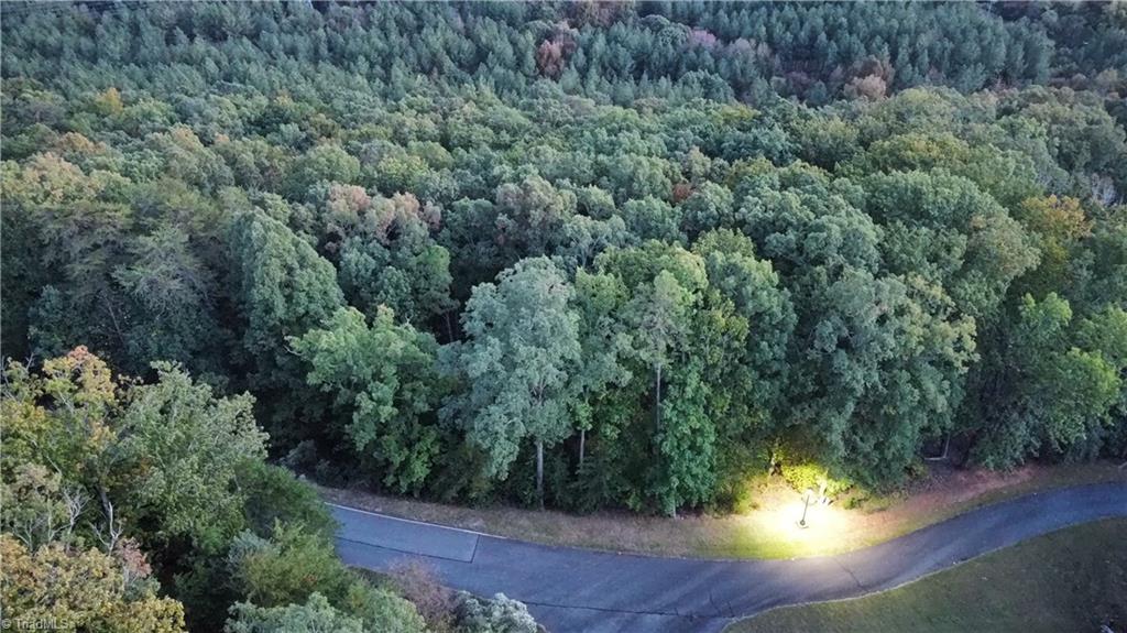 593 Boulder Ridge Drive Denton, NC 27239 - Photo 2 of 10