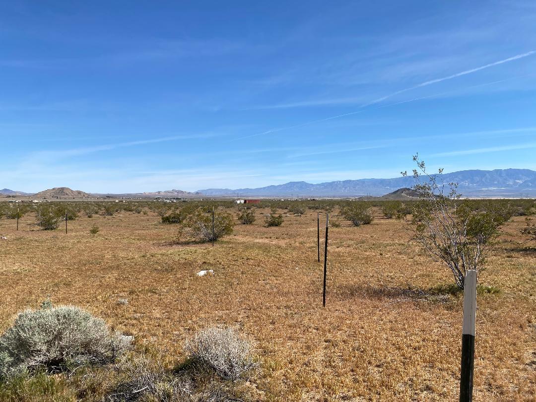 17651 Cattleman Road Lucerne Valley, CA 92356 - Photo 6 of 16 thumbnail (2)