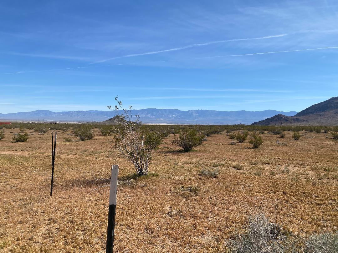 17651 Cattleman Road Lucerne Valley, CA 92356 - Photo 7 of 16 thumbnail