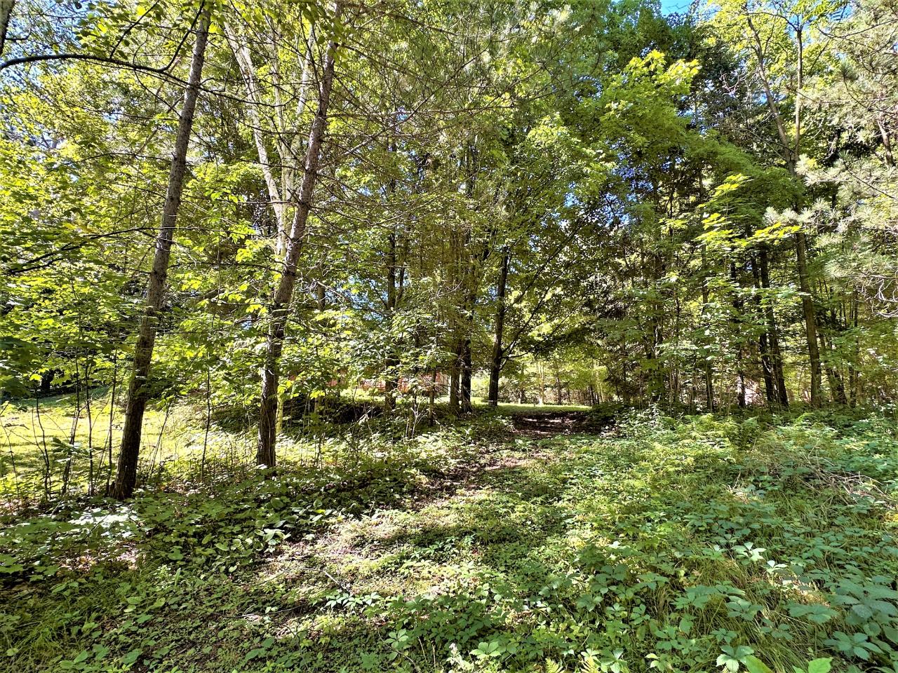 N8460 Fir Road Phillips, WI 54555 - Photo 49 of 57 Gallery Image 49