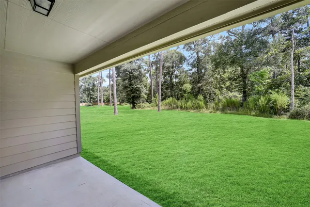 a view of grassy field with trees