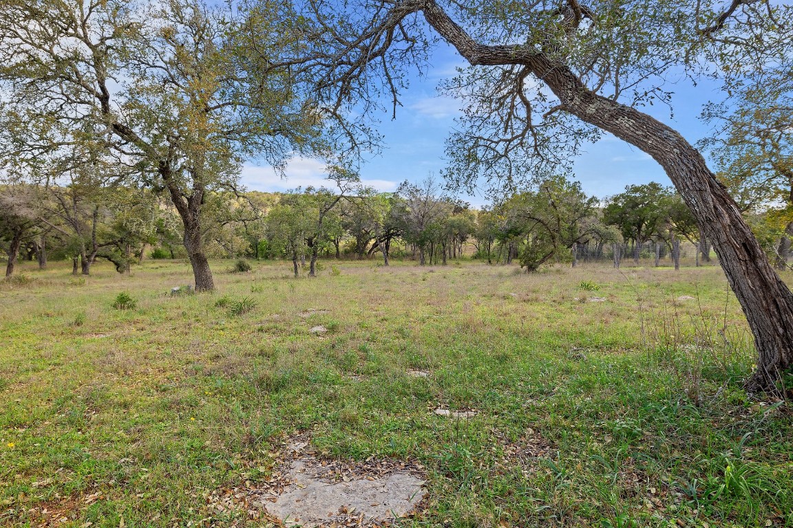 Tbd Overlook Pass Austin, TX 78738 - Photo 11 of 23 a view of a field with a tree