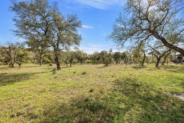 a view of yard with trees
