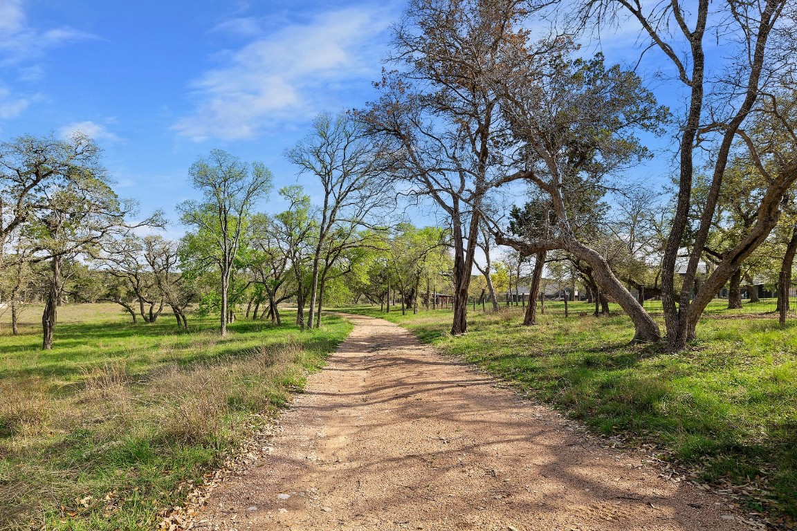 Tbd Overlook Pass Austin, TX 78738 - Photo 10 of 23 a view of a park with large trees