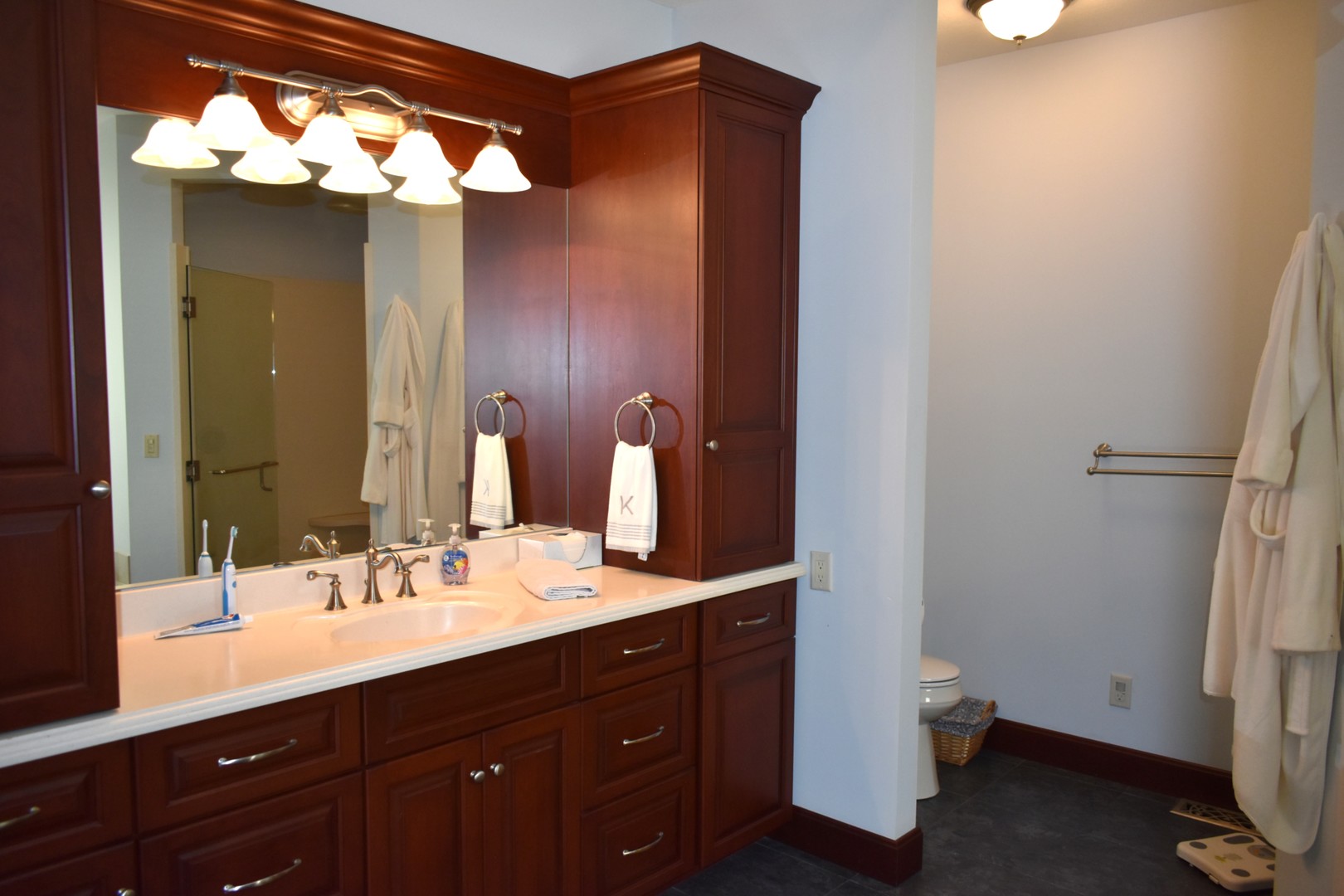 17539 East 2600 North Road Lexington, IL 61753 - Photo 53 of 94