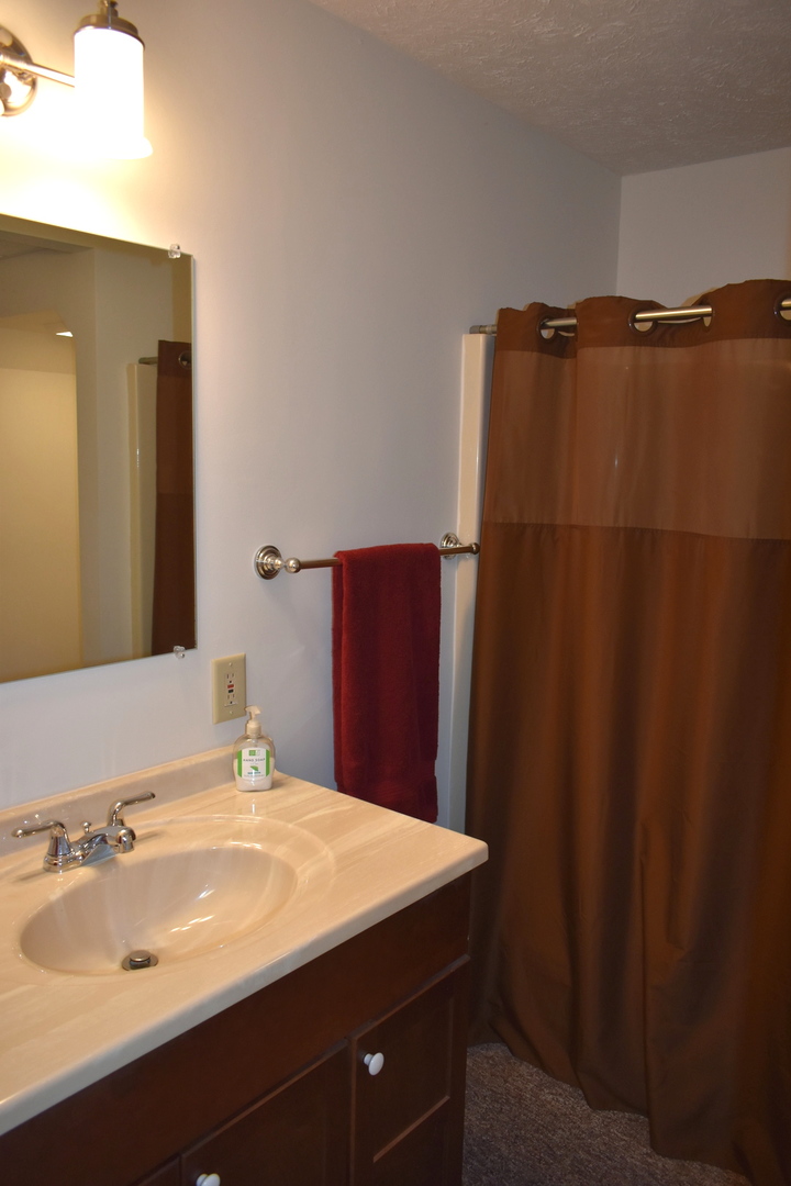 17539 East 2600 North Road Lexington, IL 61753 - Photo 64 of 94