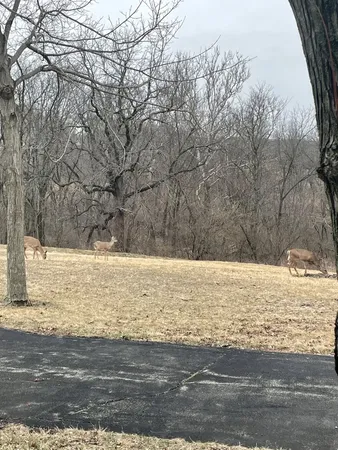 $1,300,000 | 17539 East 2600 North Road, Lexington, IL 61753