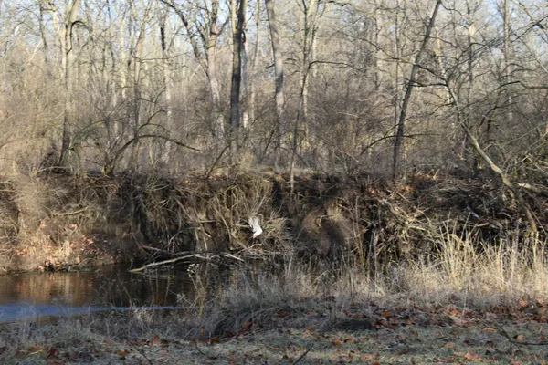 $1,300,000 | 17539 East 2600 North Road, Lexington, IL 61753