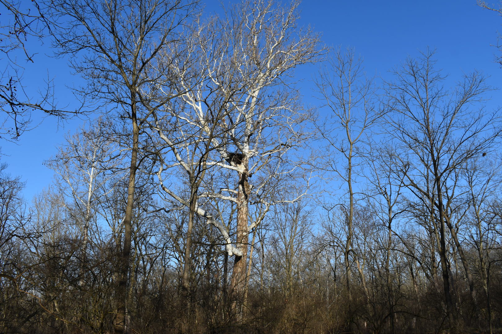 17539 East 2600 North Road Lexington, IL 61753 - Photo 80 of 94