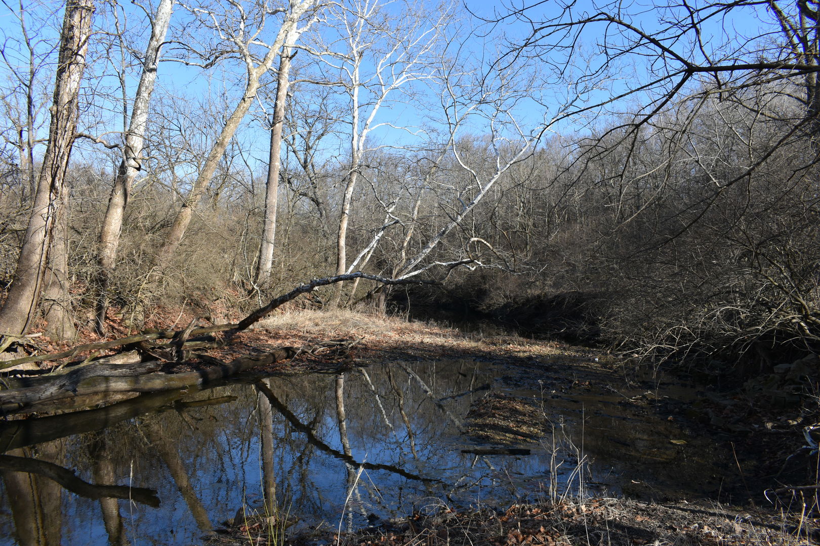 17539 East 2600 North Road Lexington, IL 61753 - Photo 83 of 94