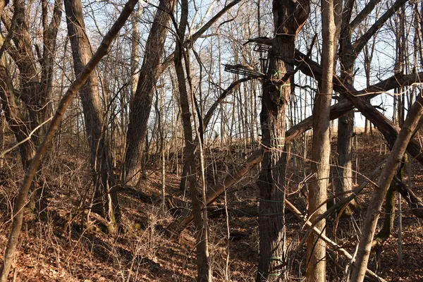 $1,300,000 | 17539 East 2600 North Road, Lexington, IL 61753