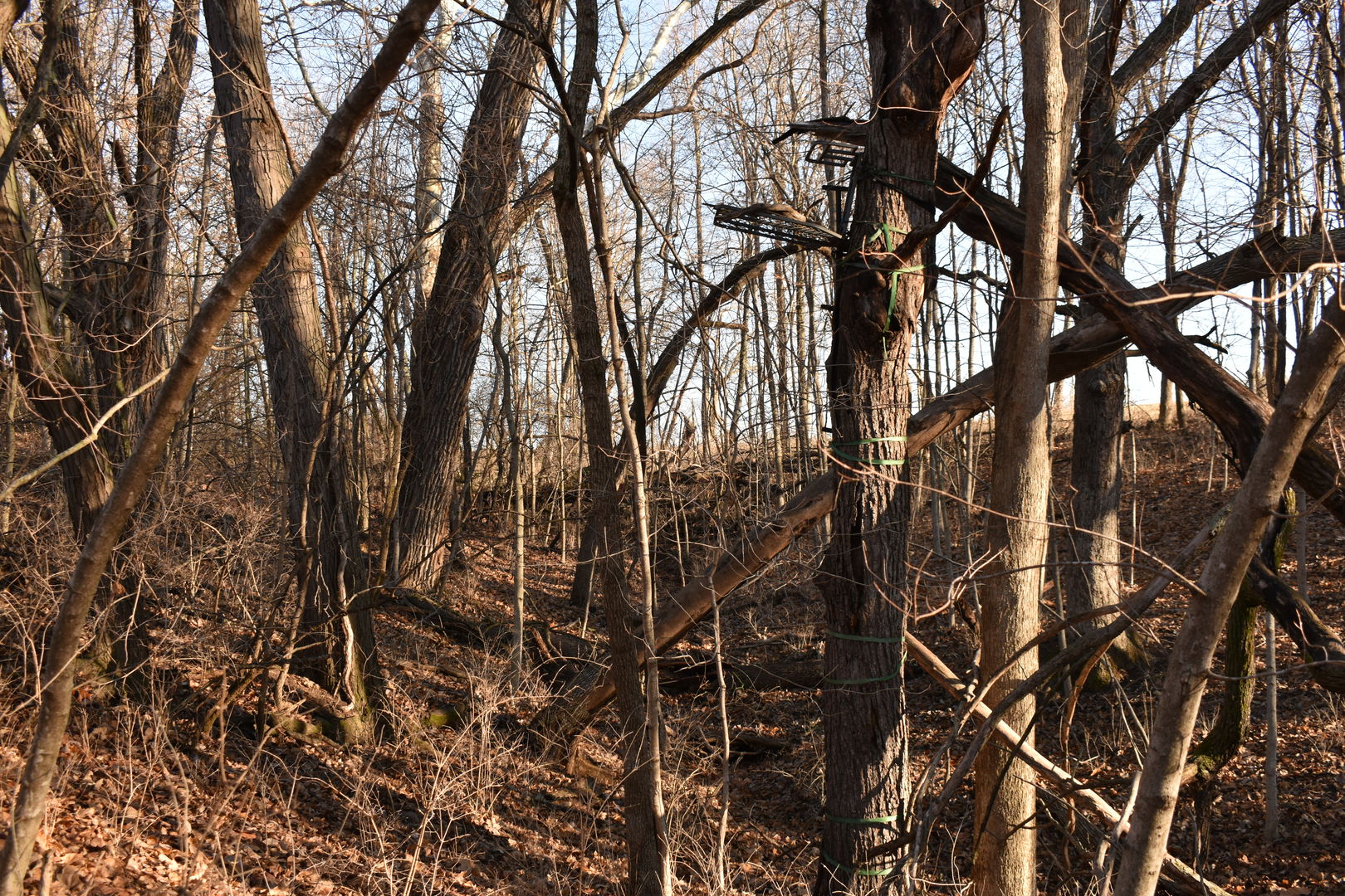 17539 East 2600 North Road Lexington, IL 61753 - Photo 87 of 94