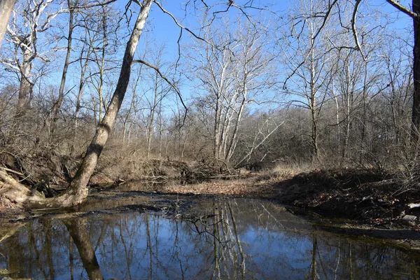 $1,300,000 | 17539 East 2600 North Road, Lexington, IL 61753