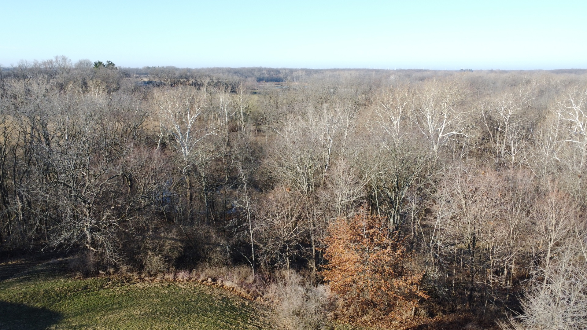 17539 East 2600 North Road Lexington, IL 61753 - Photo 89 of 94