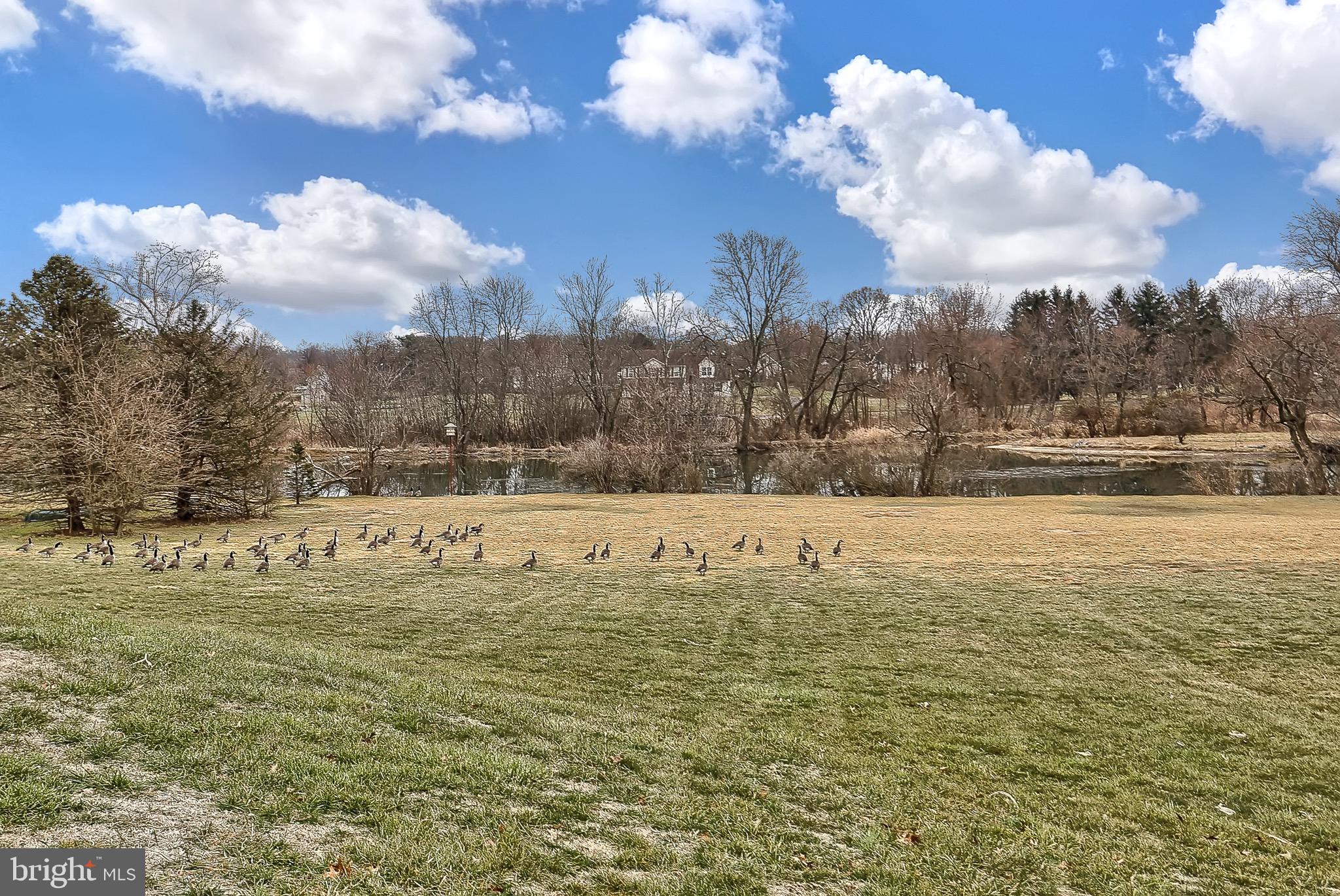 110 Ridge Drive Carlisle, PA 17015 - Photo 50 of 52 View of community pond