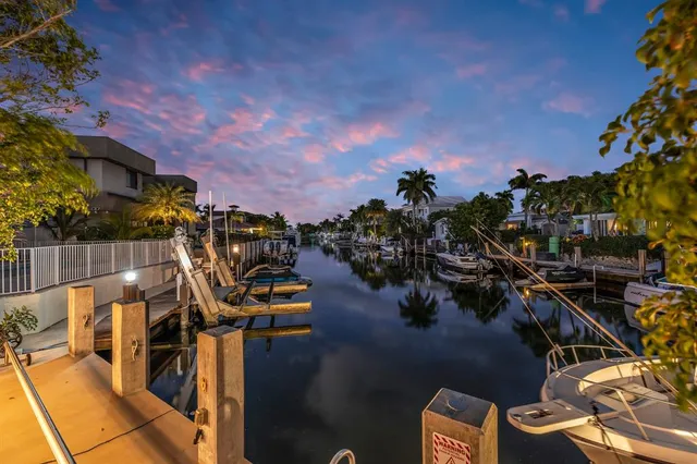 a view of a swimming pool with a lawn chairs under palm trees