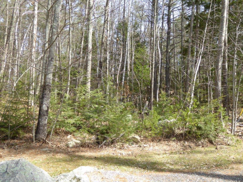 146 Terrace Road Auburn, ME 04210 - Photo 27 of 32 Nothing but woods out behind the house