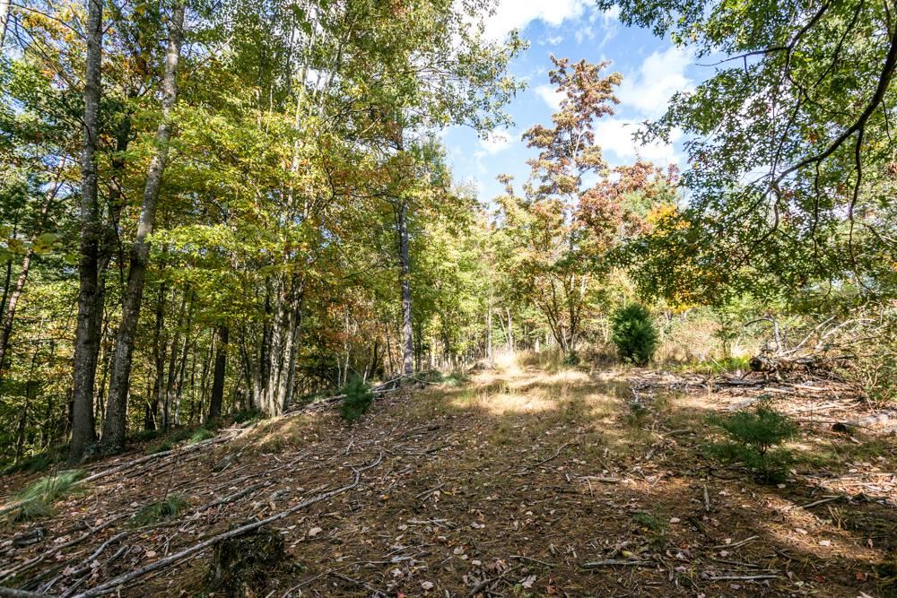 1396 Cullers Run Road Mathias, WV 26812 - Photo 47 of 50 Gallery Image 47
