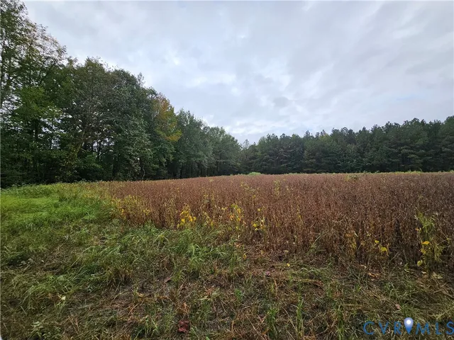 $1,595,000 | 0 Sussex Drive, Stony Creek, VA 23882