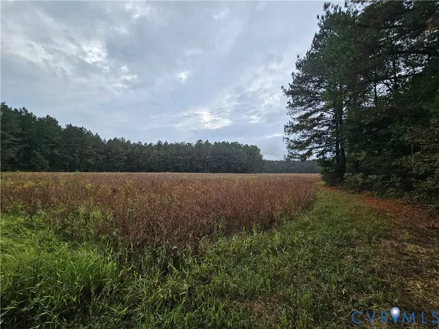 $1,595,000 | 0 Sussex Drive, Stony Creek, VA 23882