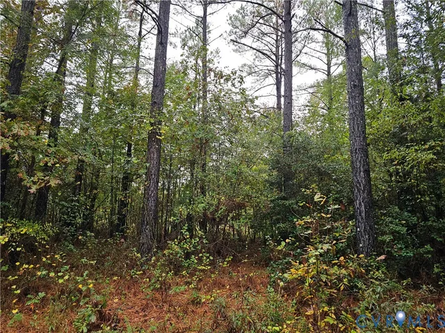 $1,595,000 | 0 Sussex Drive, Stony Creek, VA 23882