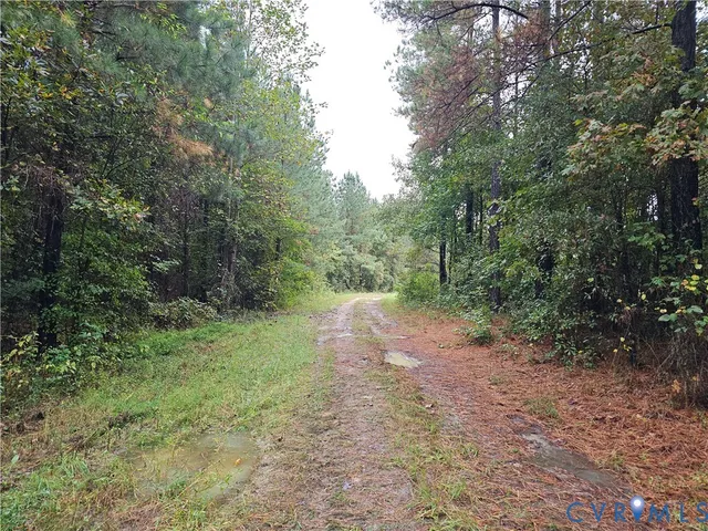 $1,595,000 | 0 Sussex Drive, Stony Creek, VA 23882