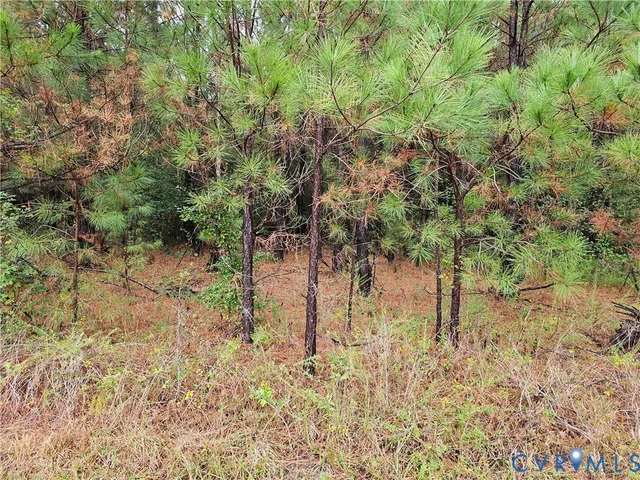 $1,595,000 | 0 Sussex Drive, Stony Creek, VA 23882