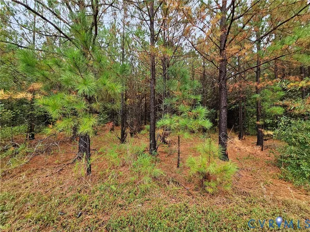 $1,595,000 | 0 Sussex Drive, Stony Creek, VA 23882