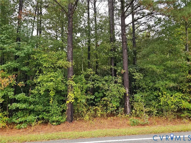 $1,595,000 | 0 Sussex Drive, Stony Creek, VA 23882