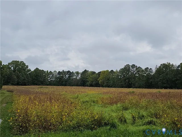 $1,595,000 | 0 Sussex Drive, Stony Creek, VA 23882