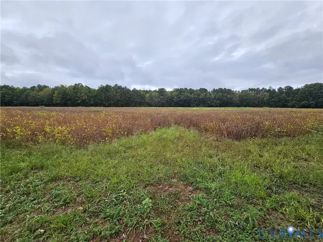 $1,595,000 | 0 Sussex Drive, Stony Creek, VA 23882