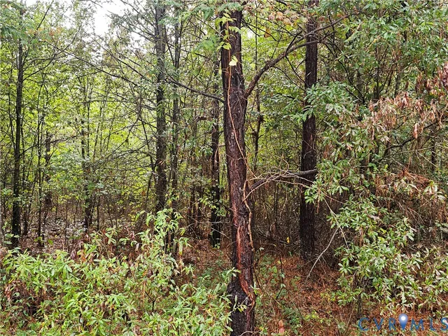 $1,595,000 | 0 Sussex Drive, Stony Creek, VA 23882