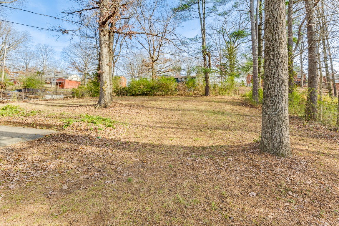 20 Binks Drive Clarksville, TN 37042 - Photo 35 of 35 a view of road with large trees