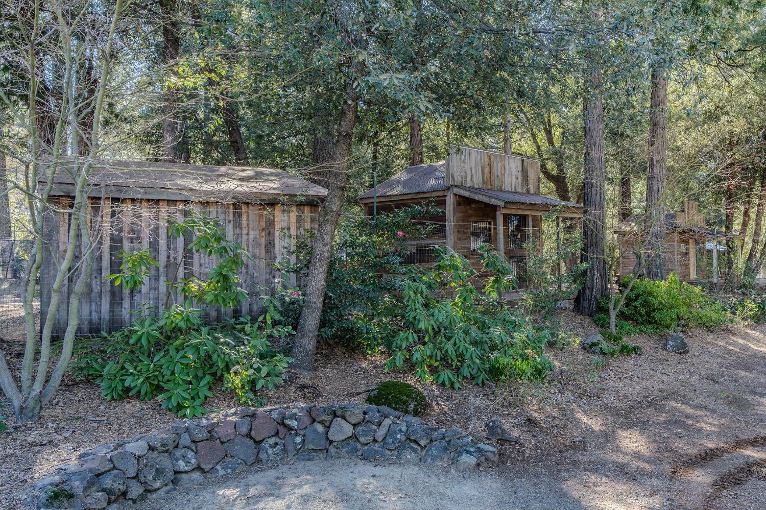 24985 Shake Ridge Road Volcano, CA 95689 - Photo 12 of 92 a house view with a garden space