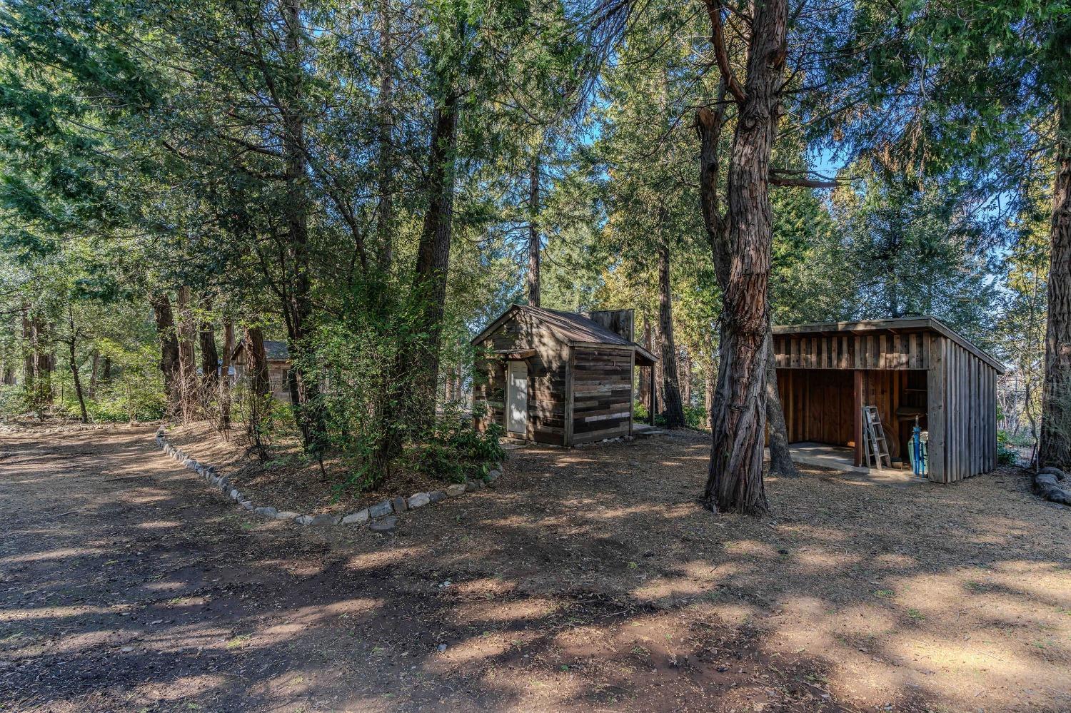 24985 Shake Ridge Road Volcano, CA 95689 - Photo 7 of 92 a view of a barn in the middle of a yard