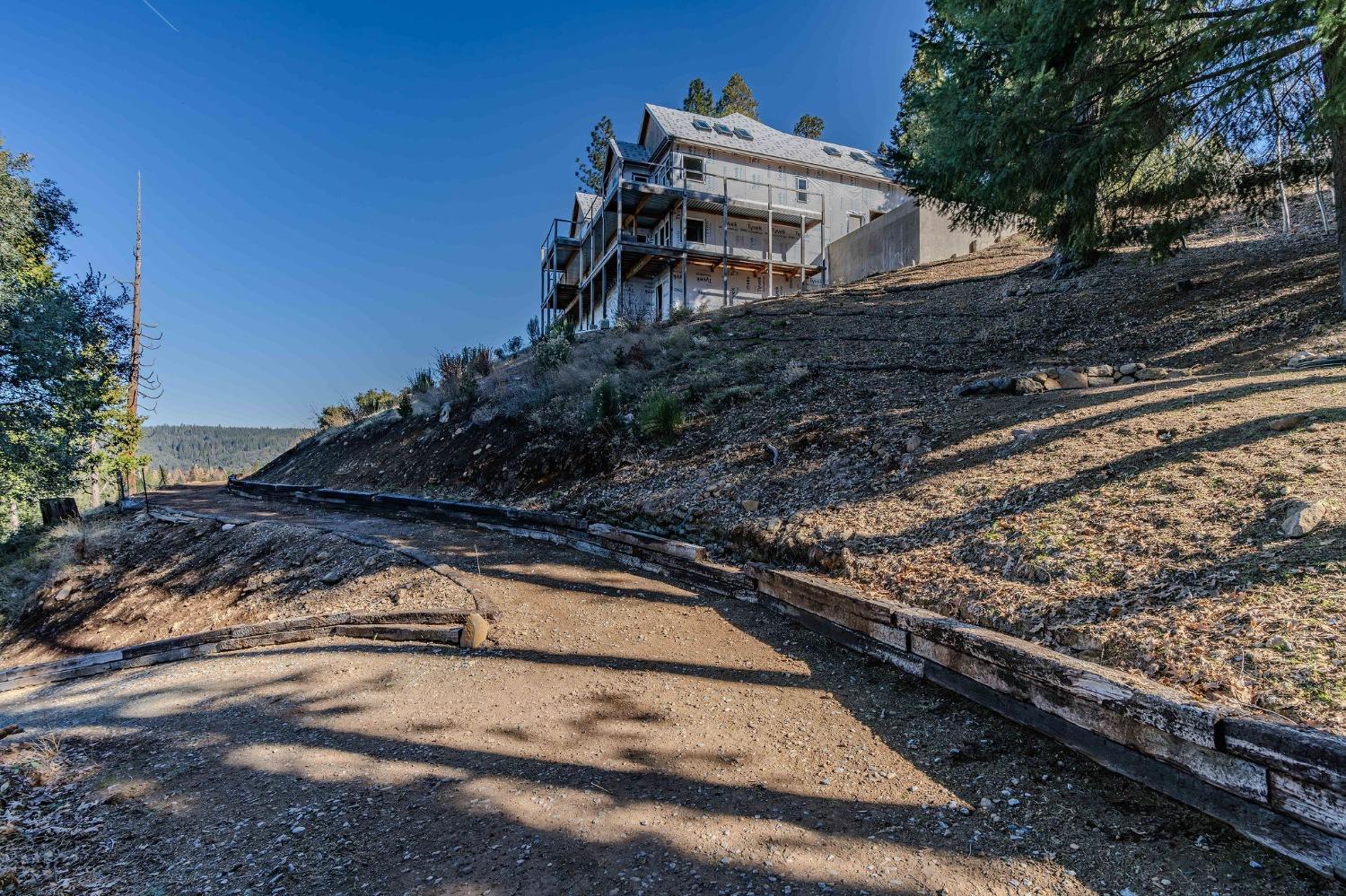 24985 Shake Ridge Road Volcano, CA 95689 - Photo 76 of 92 a view of a yard with a street
